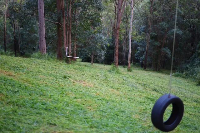 Freshly mowed slope at roughly 20 degrees with eucalypts, Pullenvale