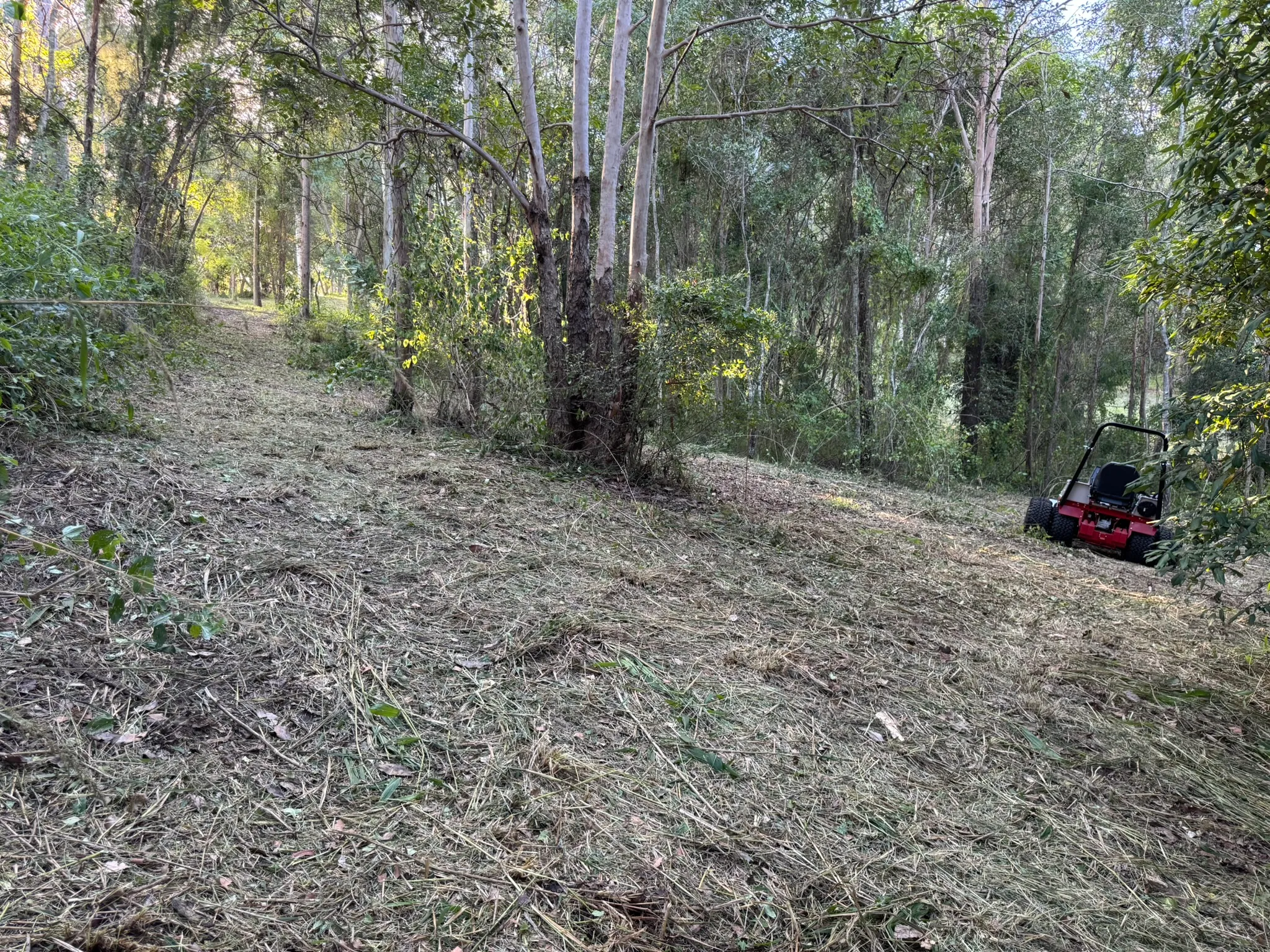 Wide firebreak cleared through eucalypt forest on a slope with the Ventrac working, Pullenvale