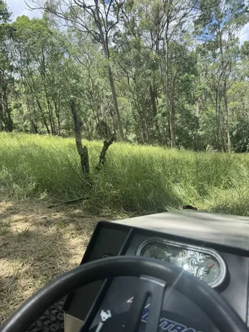 View from Ventrac cab approaching dense long grass on a slope