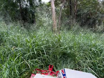 View over the Ventrac bonnet pushing into dense panic grass above machine height, Pullenvale