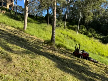 Ventrac 4520P mowing a steep grassy slope under eucalypts in golden light